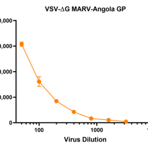 Viral Titration: Serially diluted pseudoviruses in EMEM™ in a 2-fold series were added to Vero cells seeded in a 96-well plate at a seeding density of 6E4 cells/well. Cells with media alone were used as control. After 24 h, the infection was monitored using the Luciferase Assay System (Promega, Madison, WI, USA). Viral titer was calculated using a dilution that resulted in a Relative Luciferase Unit (RLU). The RLU value recommended for this product is based readout from the BioTek Cytation™ instrument. Absolute RLU obtained by the user may vary based on the user’s instrument & handling or luciferase assay system