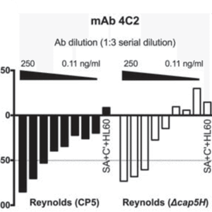 Monoclonal Antibodies (4C2) to S. Aureus serotype 5 capsular polysaccharide