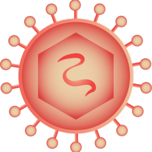 Flavivirus