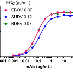 Pan-Ebolachimeric human IgG1 (PE54)
