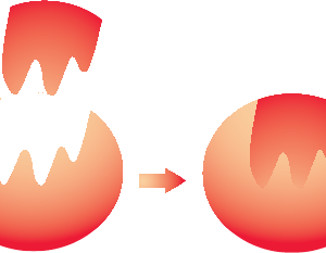 Enzymes