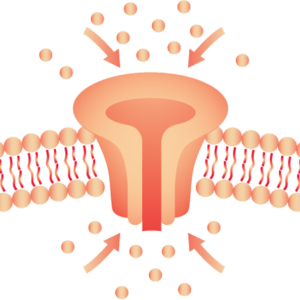 Toxins and Antigens