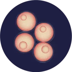 Asset 17